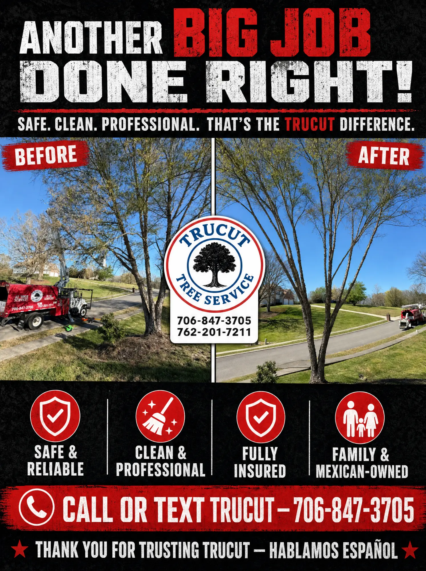 Before-and-after flyer: a large tree thinned and shaped by TruCut Tree Service